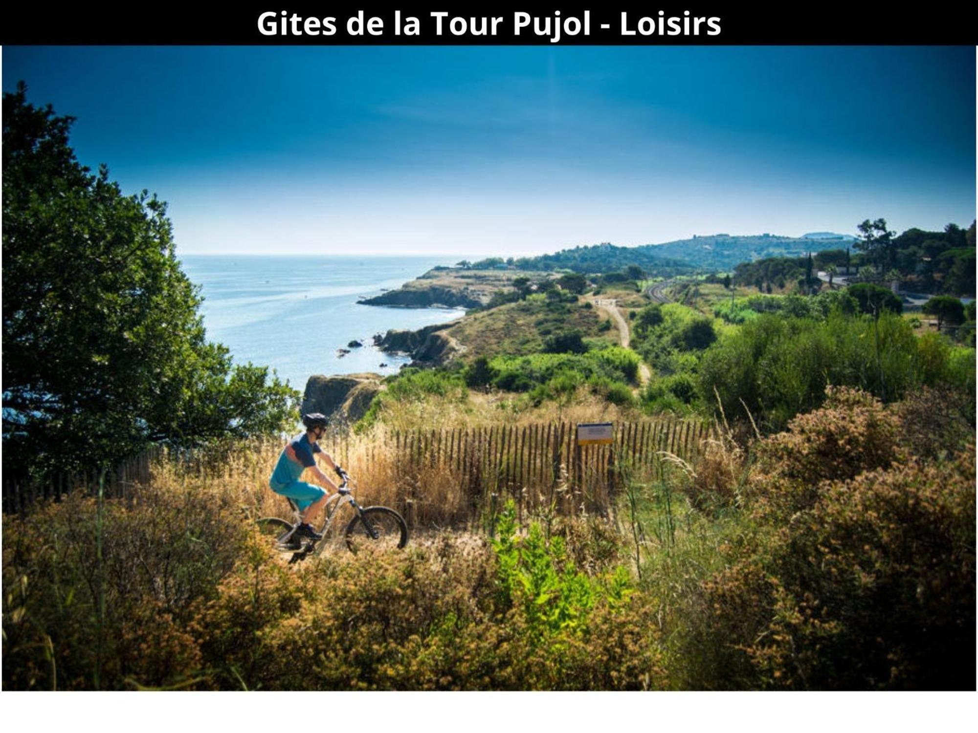 Les Gites De La Tour Pujol Argelès-sur-Mer Kültér fotó