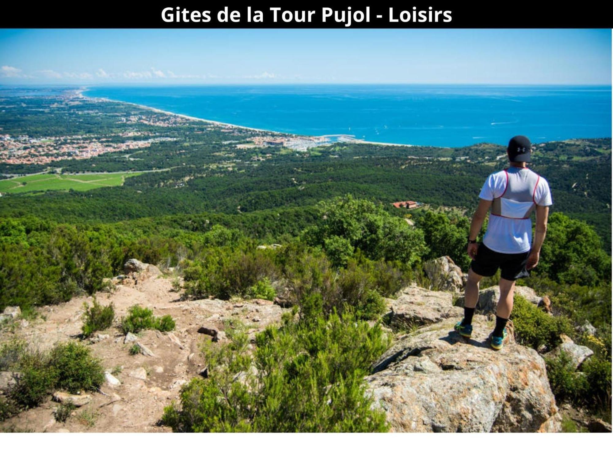 Les Gites De La Tour Pujol Argelès-sur-Mer Kültér fotó