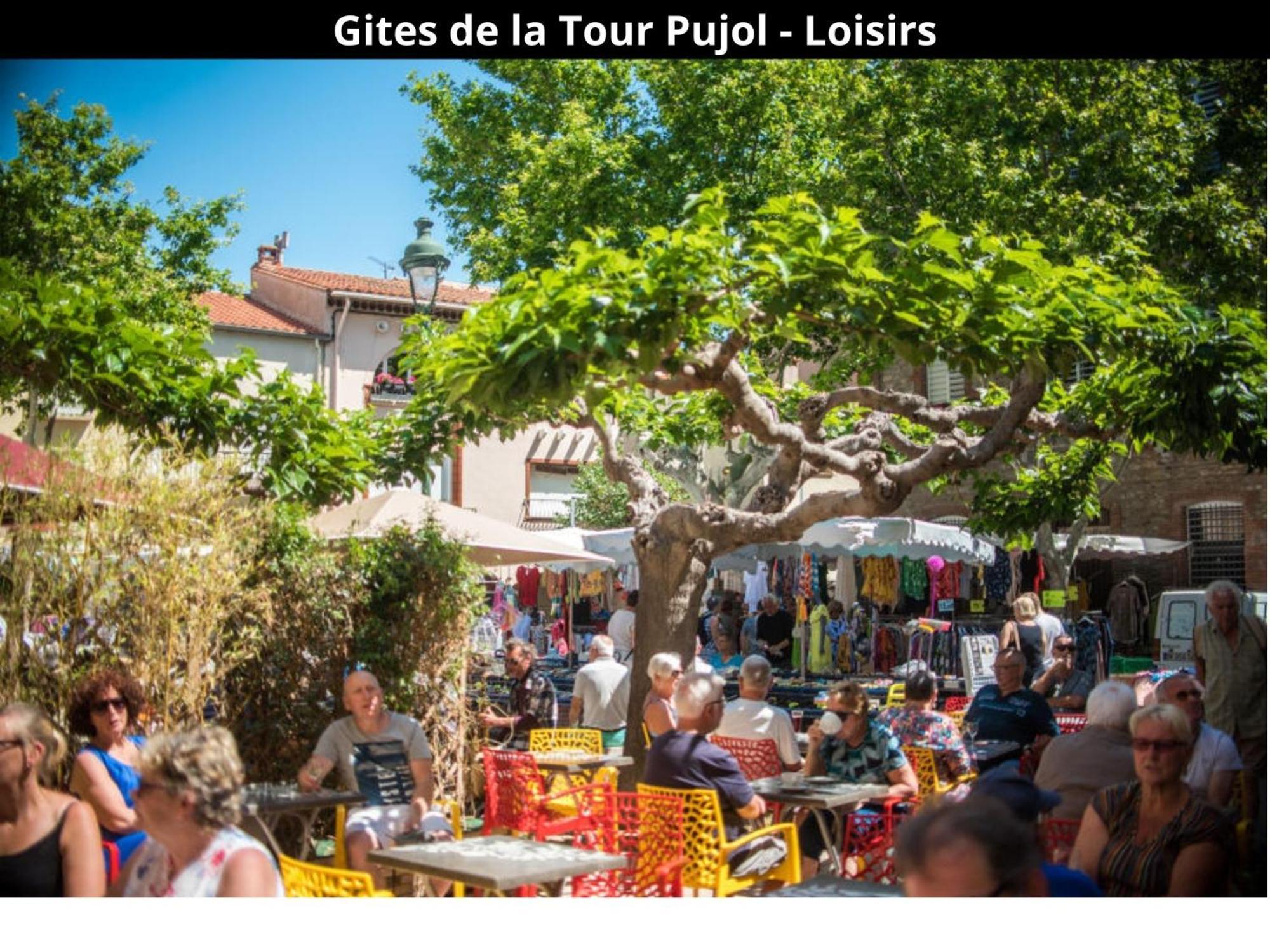 Les Gites De La Tour Pujol Argelès-sur-Mer Kültér fotó