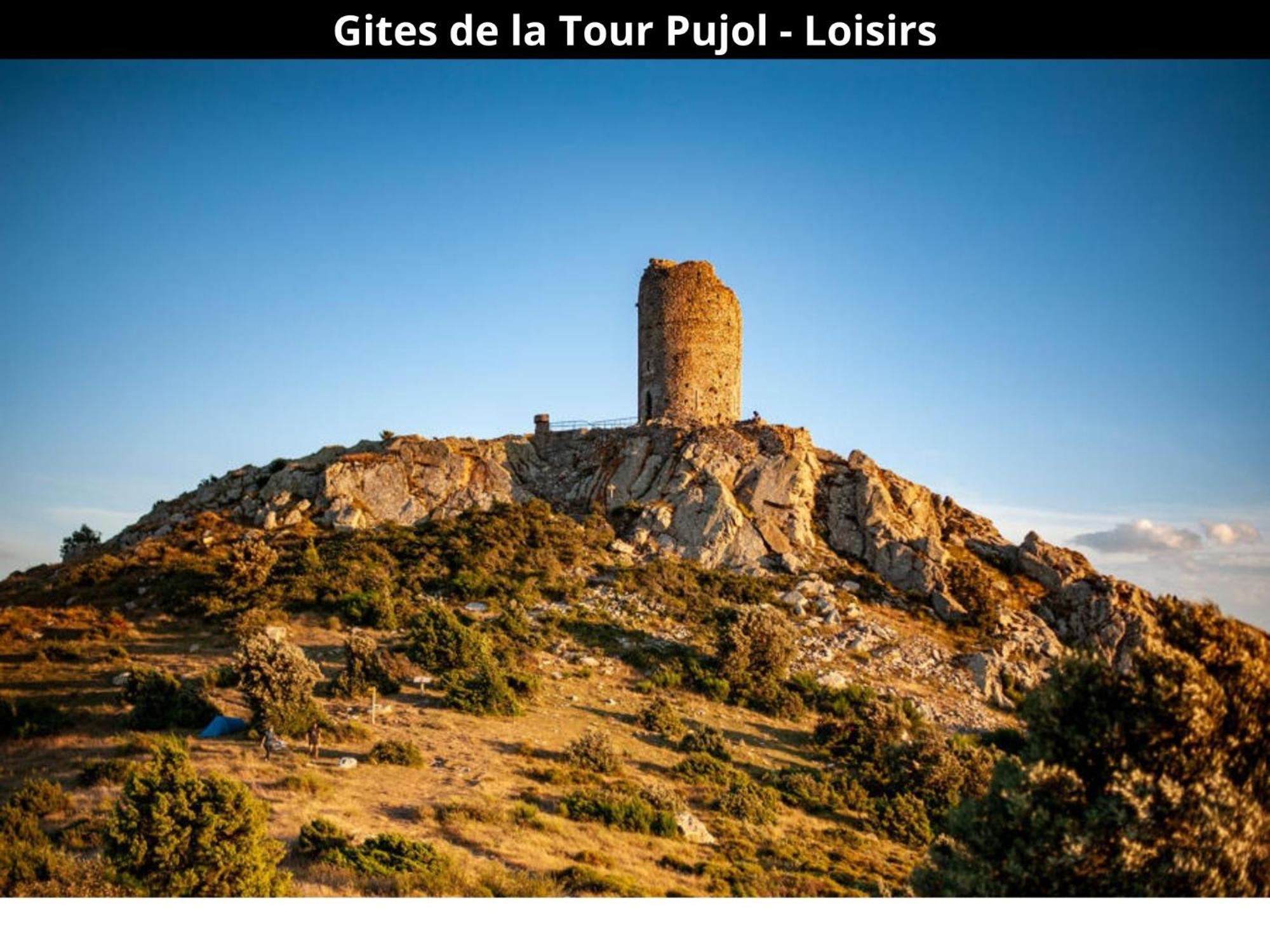 Les Gites De La Tour Pujol Argelès-sur-Mer Kültér fotó