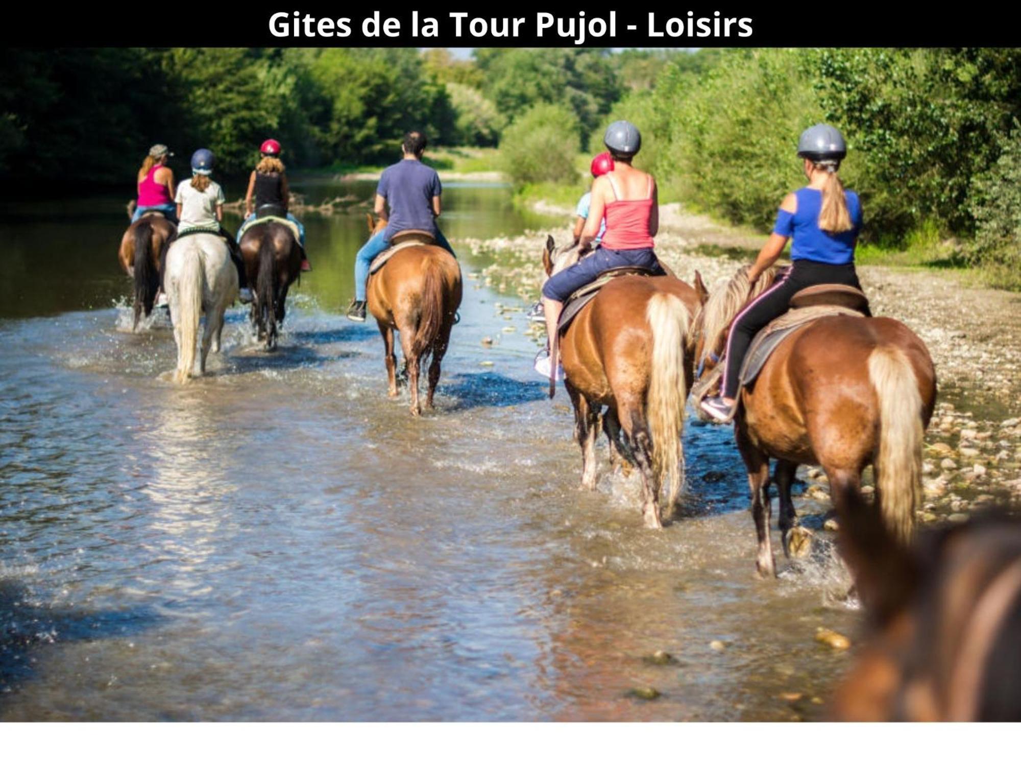 Les Gites De La Tour Pujol Argelès-sur-Mer Kültér fotó