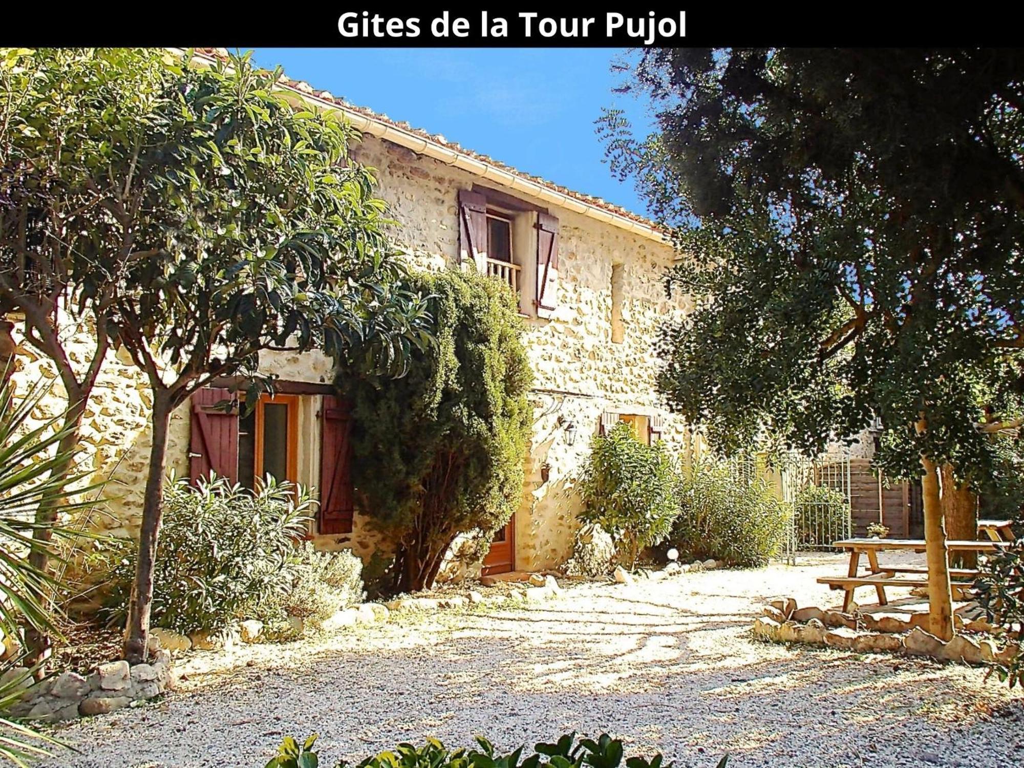 Les Gites De La Tour Pujol Argelès-sur-Mer Kültér fotó