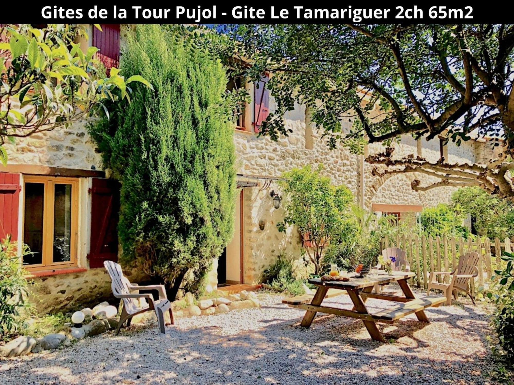 Les Gites De La Tour Pujol Argelès-sur-Mer Kültér fotó